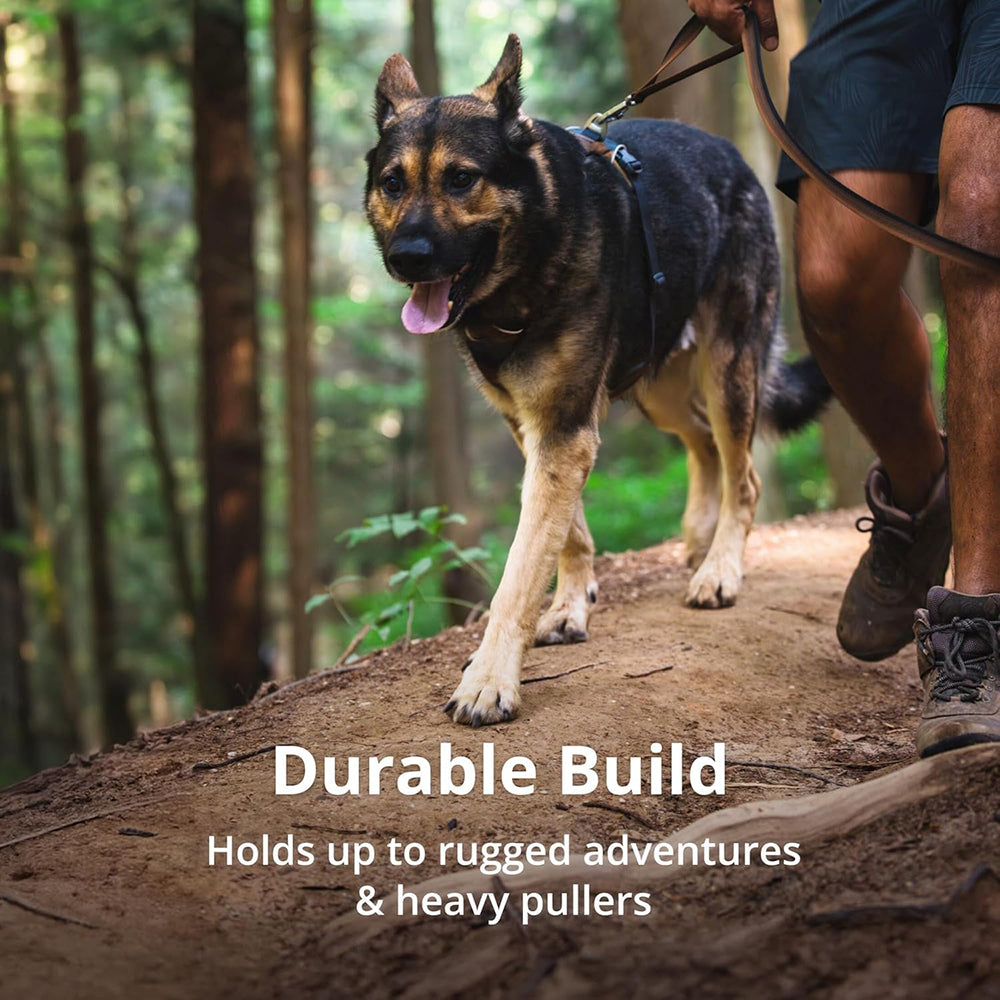 Ruffwear Front Range Harness For Dog - Basalt Grey - Heads Up For Tails