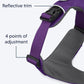 Ruffwear Front Range Dog Harness - Tillandsia Purple - Heads Up For Tails