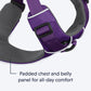 Ruffwear Front Range Dog Harness - Tillandsia Purple - Heads Up For Tails