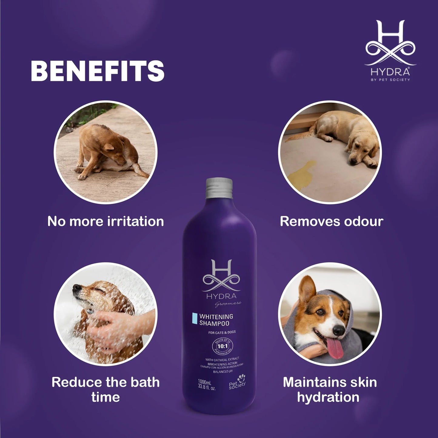 Hydra Groomers Whitening Shampoo For Dog & Cat - 1 Ltr - Heads Up For Tails