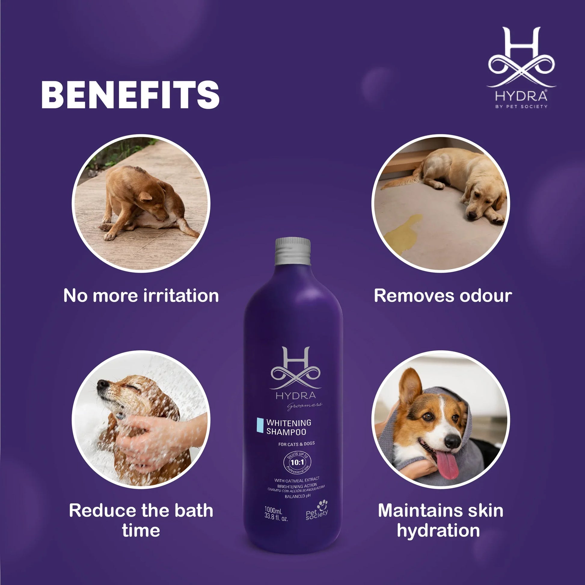 Hydra Groomers Whitening Shampoo For Dog & Cat - 1 Ltr - Heads Up For Tails