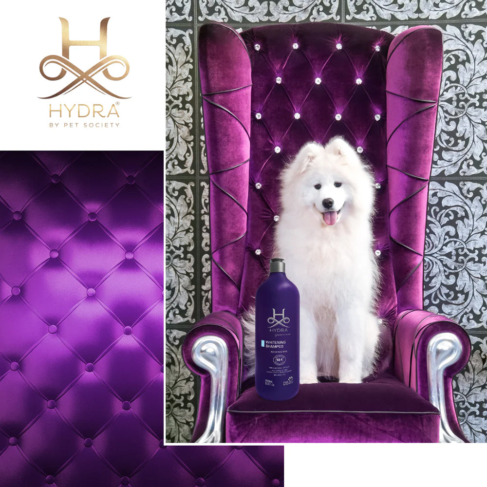 Hydra Groomers Whitening Shampoo For Dog & Cat - 1 Ltr - Heads Up For Tails
