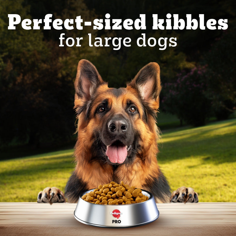 Pedigree PRO Expert Nutrition Active Adult Dry Dog Food - Heads Up For Tails