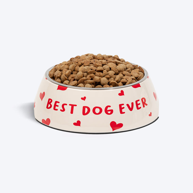 HUFT Best Dog Ever Printed Melamine Bowl With Steel Inserts For Dog - Beige - Heads Up For Tails