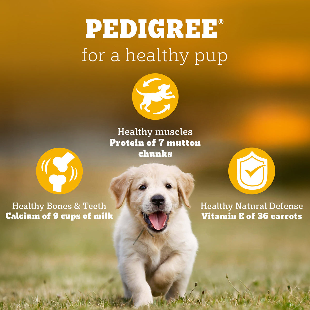 Pedigree Meat & Milk Puppy Dry Puppy Food - Heads Up For Tails