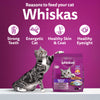 Whiskas Adult (1+ Years) Mackerel Flavour Dry Cat Food - Heads Up For Tails