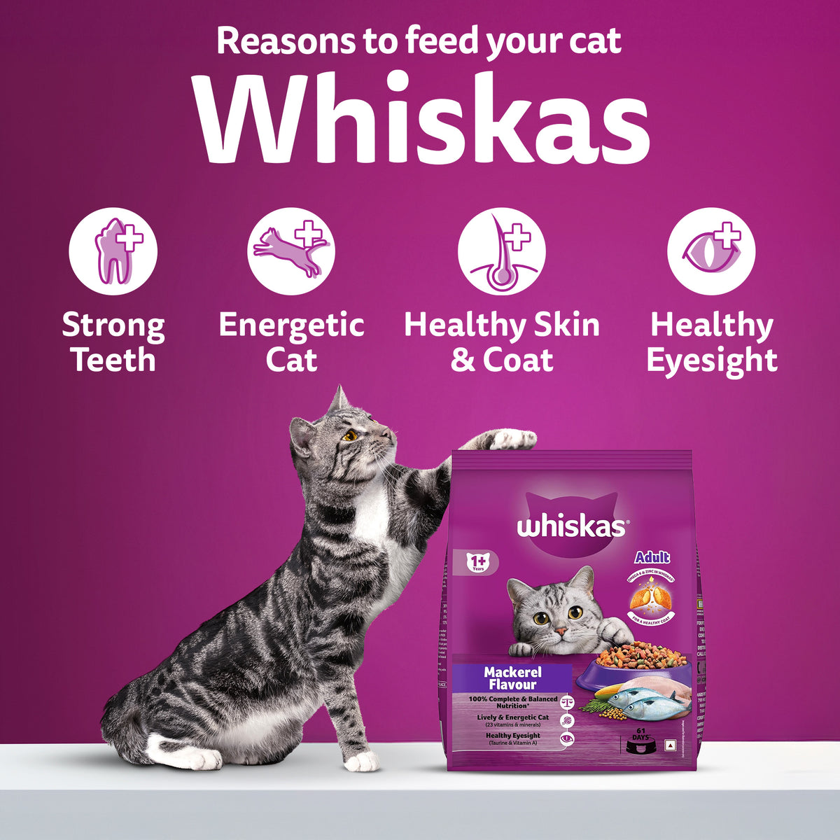 Whiskas Adult (1+ Years) Mackerel Flavour Dry Cat Food - Heads Up For Tails