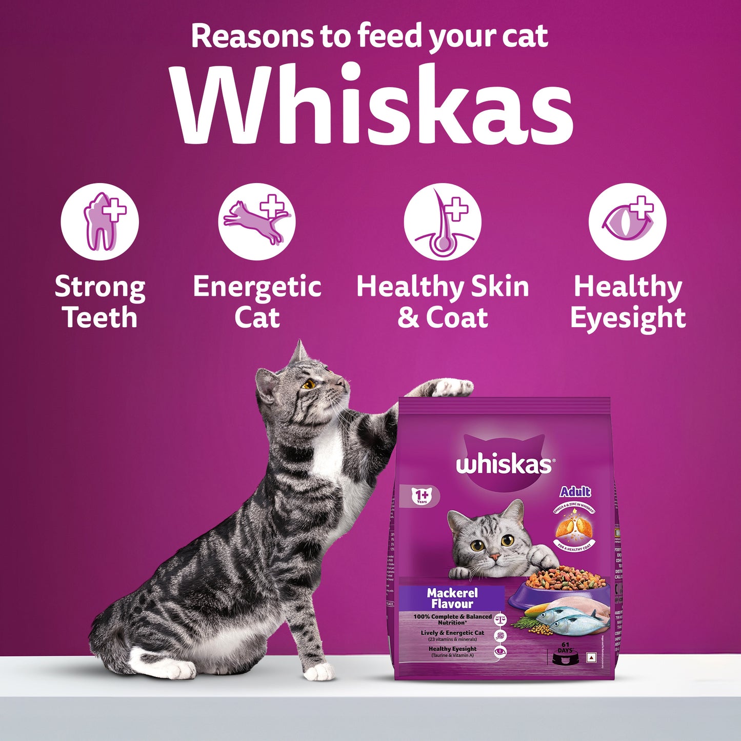Whiskas Adult (1+ Years) Mackerel Flavour Dry Cat Food - Heads Up For Tails