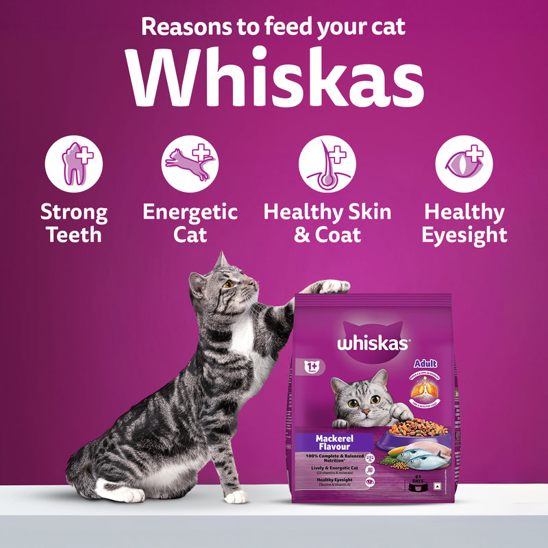 Whiskas Adult (1+ Years) Mackerel Flavour Dry Cat Food - Heads Up For Tails