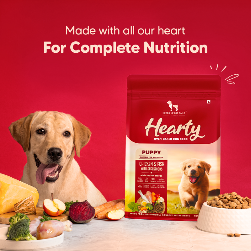 Hearty Oven-Baked Puppy Food by Heads Up for Tails, Chicken & Fish with Superfoods, 250g, suitable for all breeds.