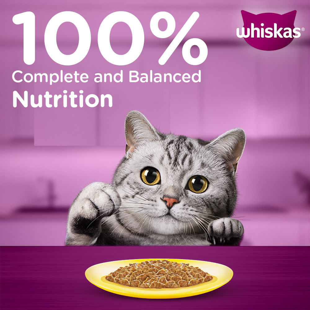 Whiskas Mackerel In Jelly (1+ Years) Adult Cat Wet Food - 80 gm Pack