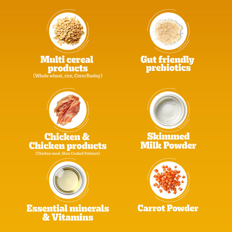Pedigree Chicken & Milk Puppy Dry Dog Food (Contains 37 Essential Nutrients)
