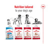 Royal Canin Medium Adult Dry Dog Food - Heads Up For Tails
