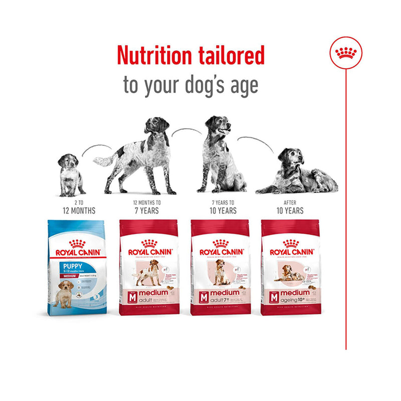 Royal Canin Medium Adult Dry Dog Food - Heads Up For Tails