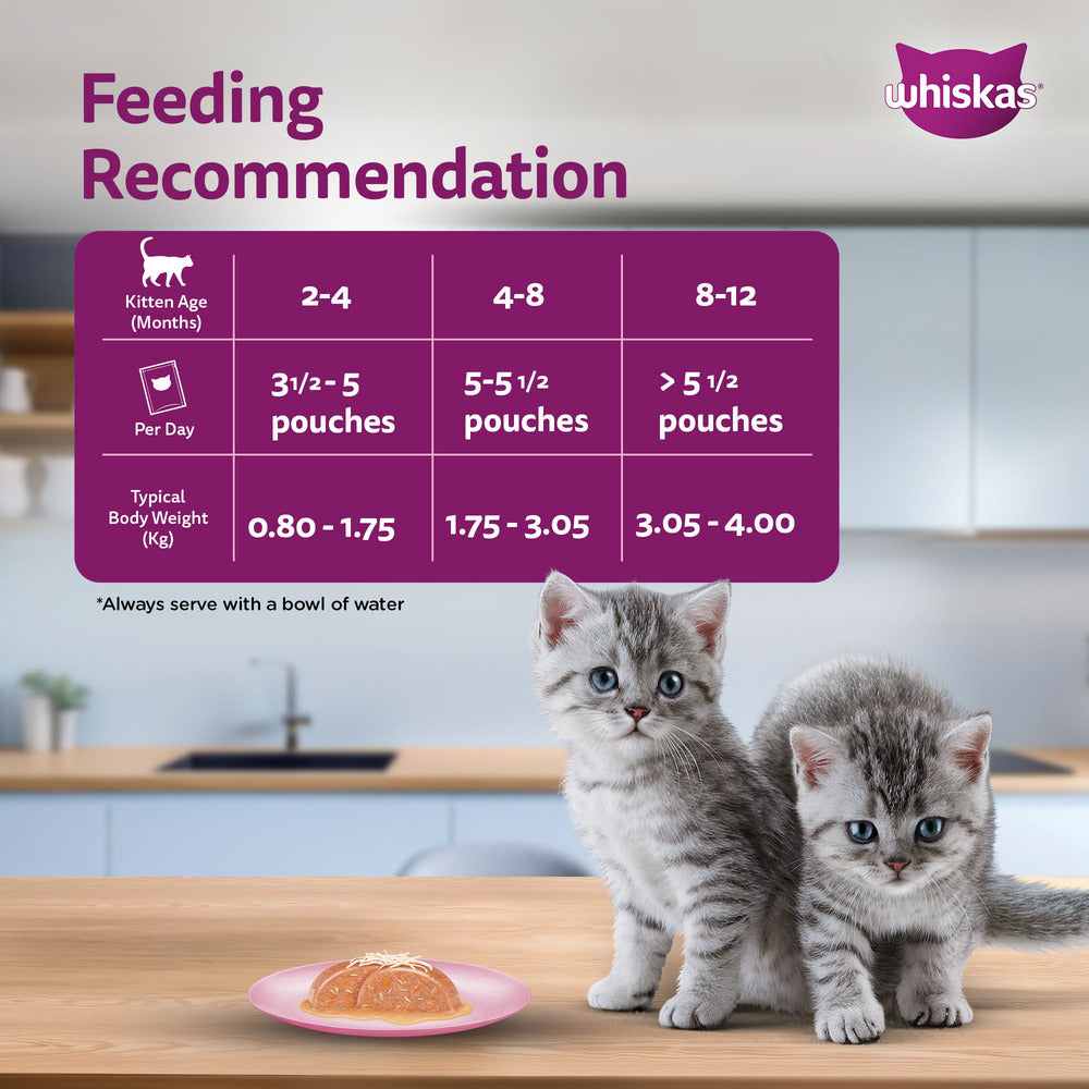 Whiskas Chicken With Salmon In Jelly Wet Food For Junior (2-12 Months) Kitten - 80 gm Pack