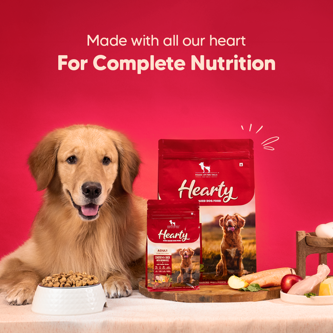 Hearty Oven Baked Dry Food For Adult Dogs With Chicken Duck Brown Rice All Breed