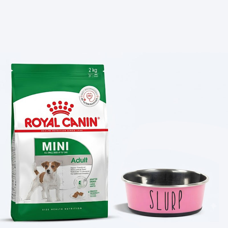 Royal Canin Mini Adult Dry Dog Food