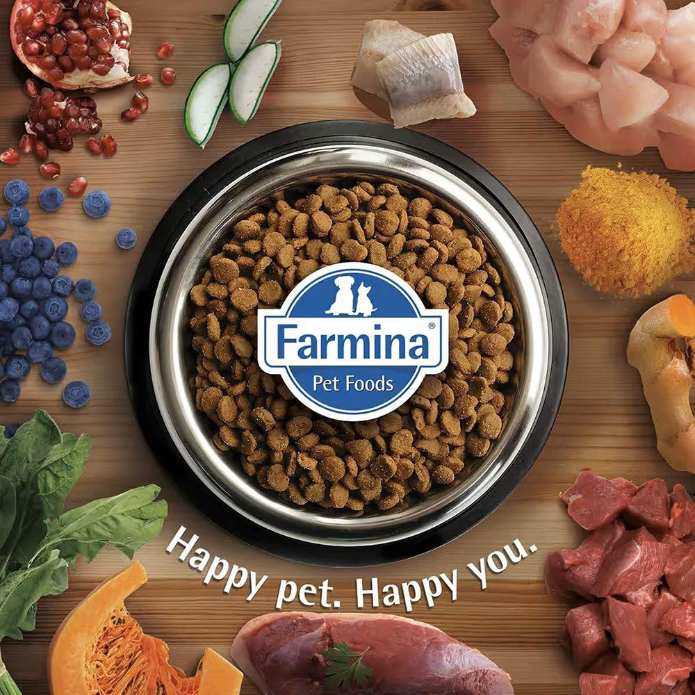 Farmina Team Breeder Top Salmon Dog Dry Food - 20 kg