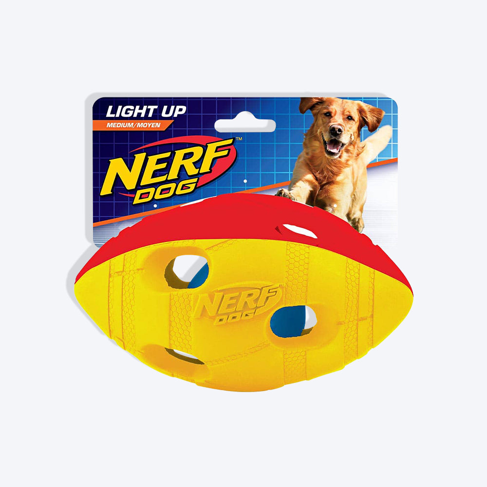 NERF DOG Bash Football Chew Toy For Dog