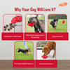 NERF DOG Bash Football Chew Toy For Dog - Heads Up For Tails