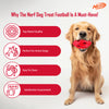 NERF DOG Bash Football Chew Toy For Dog - Heads Up For Tails