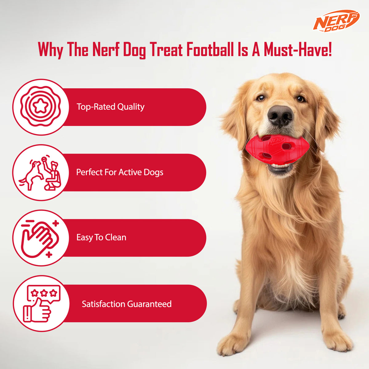 NERF DOG Bash Football Chew Toy For Dog - Heads Up For Tails