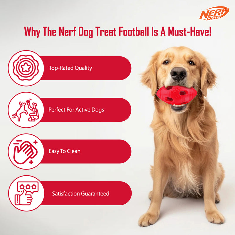 NERF DOG Bash Football Chew Toy For Dog - Heads Up For Tails