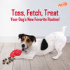 NERF DOG Bash Football Chew Toy For Dog - Heads Up For Tails