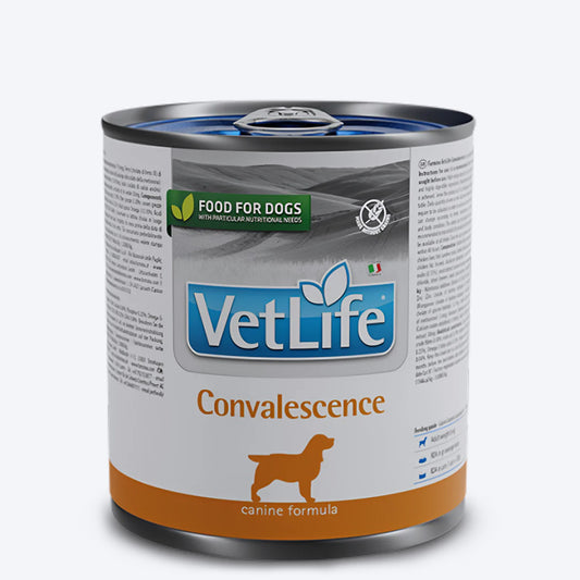 Farmina Vet Life Convalescence Wet Food For Dog - 300 gm