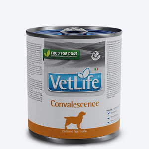 Farmina Vet Life Convalescence Wet Food For Dog - 300 gm - Heads Up For Tails