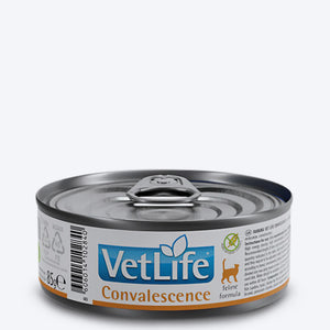 Farmina Vet Life Convalescence Feline Formula Wet Food For Cat - 85 gm - Heads Up For Tails