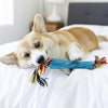 Petstages Orka Stick Chew Dog Chew Toy - Heads Up For Tails