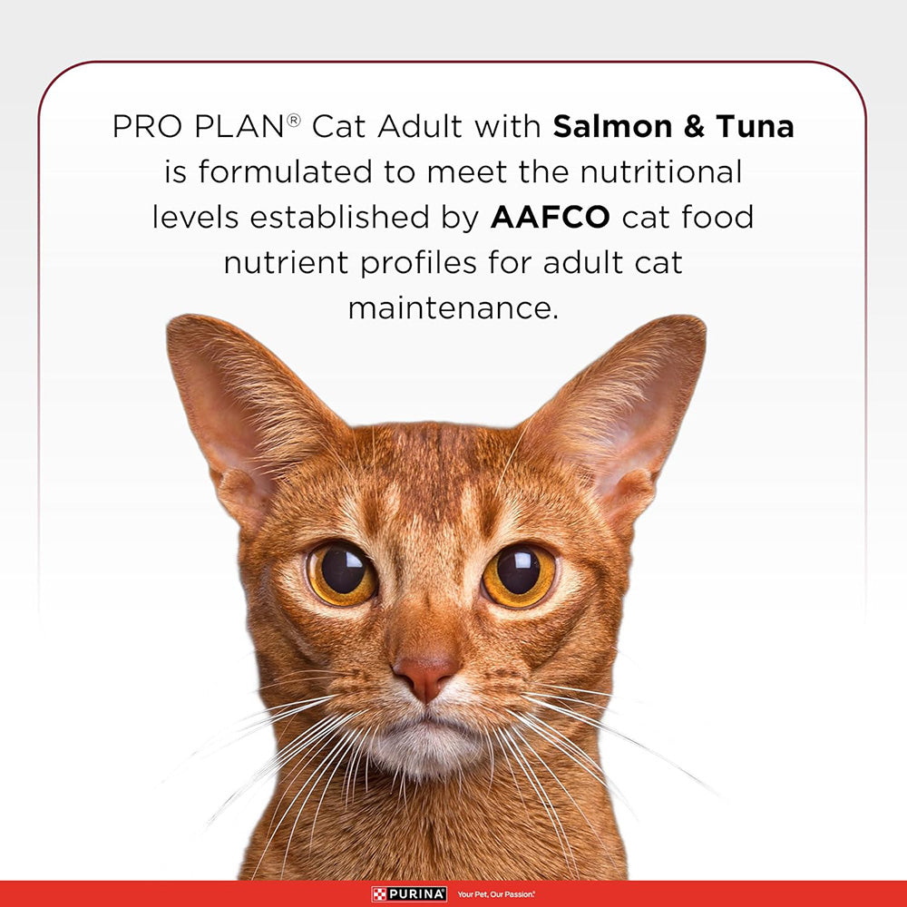 Purina Pro Plan Salmon & Tuna Adult Dry Food For Cat