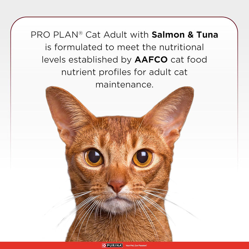 Purina Pro Plan Salmon & Tuna Adult Dry Food For Cat