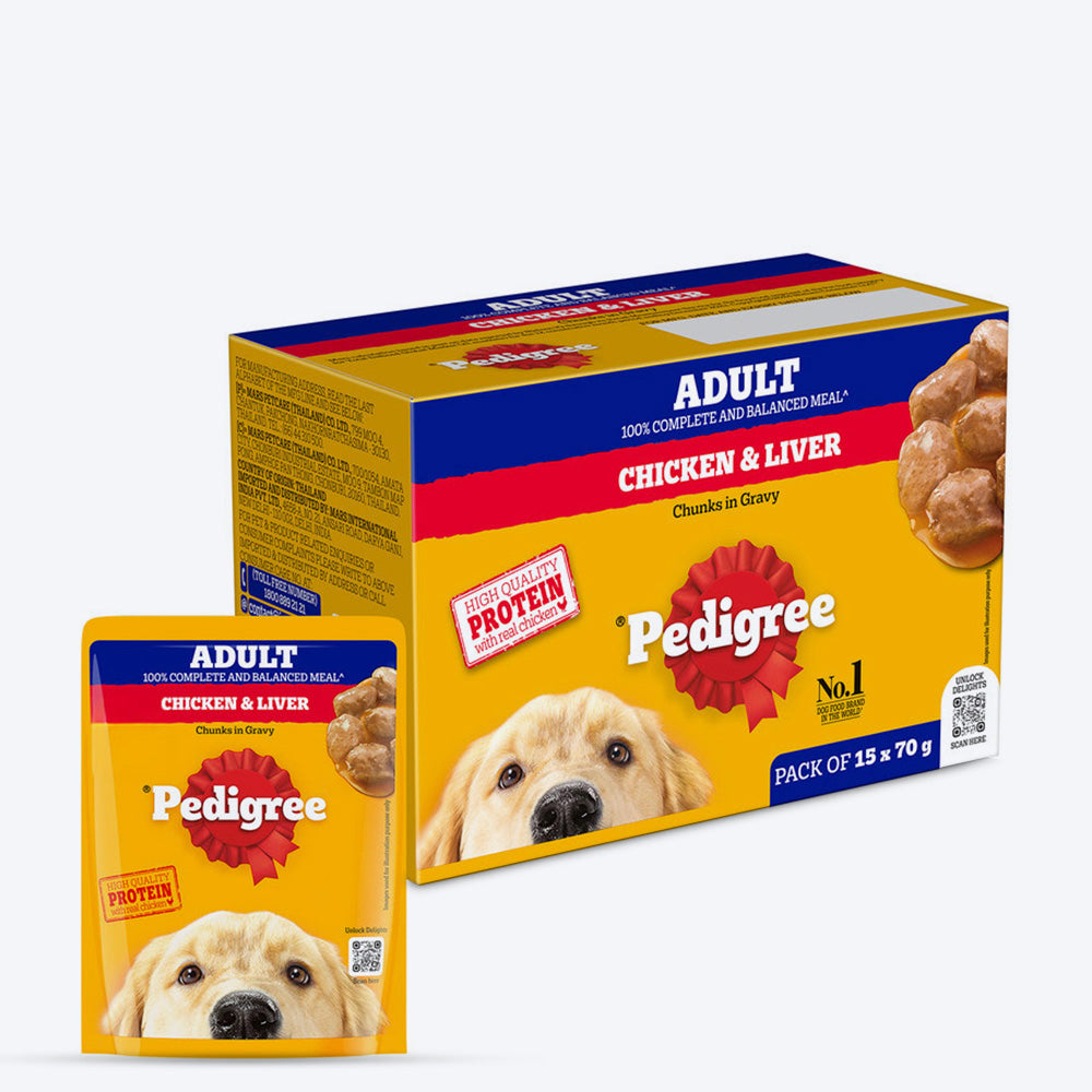 Pedigree Chicken & Liver Chunks in Gravy Adult Wet Dog Food - 70 g packs - Heads Up For Tails