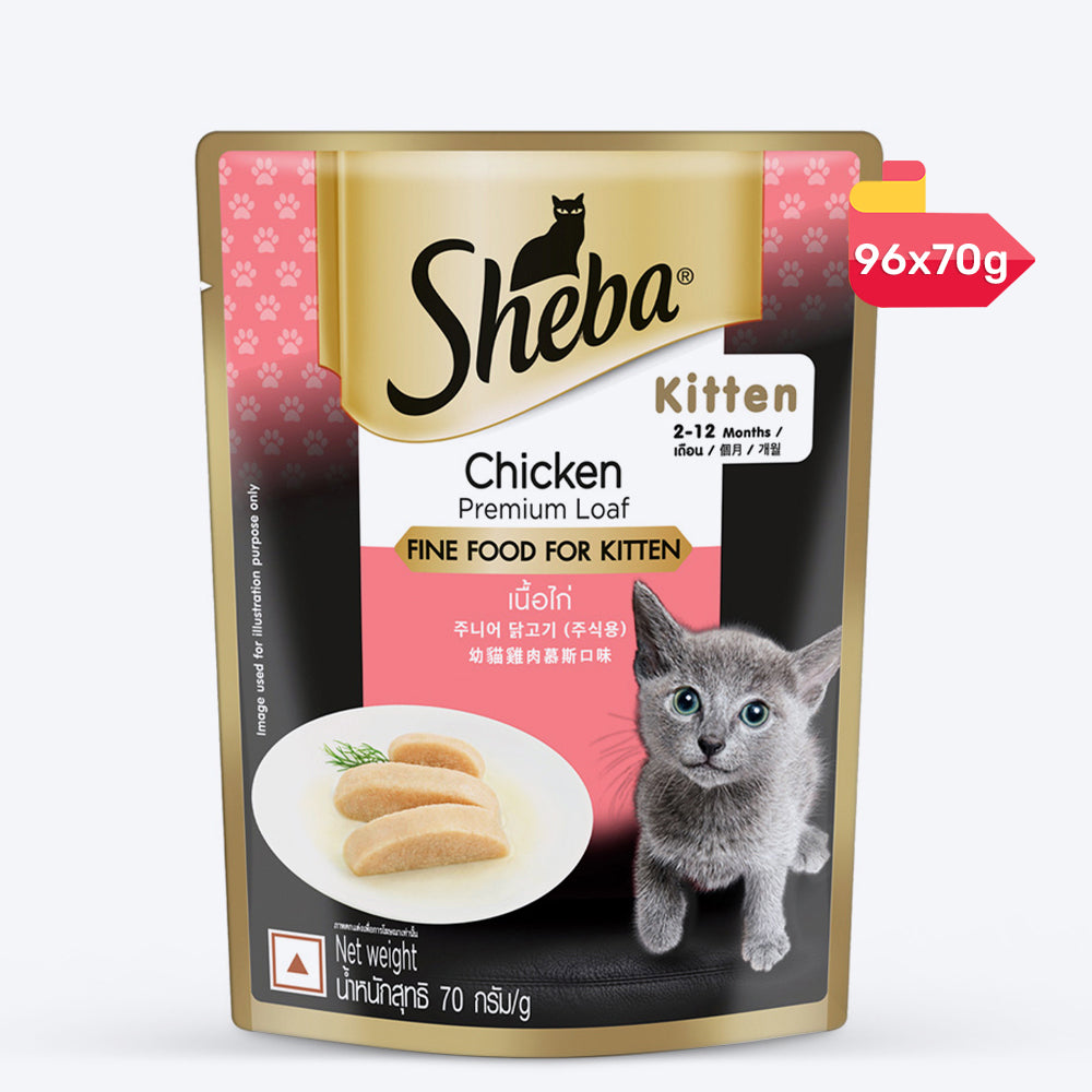 Sheba Chicken Premium Loaf Wet Kitten Food - 70 g packs_12