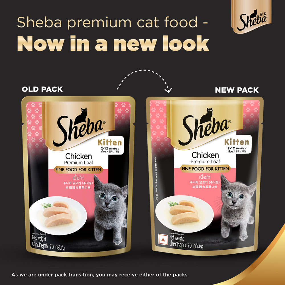 Sheba Chicken Premium Loaf Wet Kitten Food - 70 g packs_02