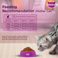 Whiskas Mackerel Flavour Dry Food For (2-12 Months) Kitten