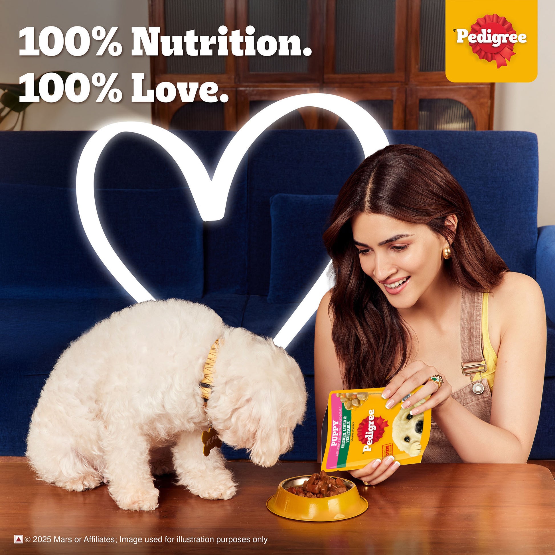 Pedigree Chicken & Liver Chunks in Gravy with Vegetables Wet Puppy Food - 70Gm Packs - Heads Up For Tails