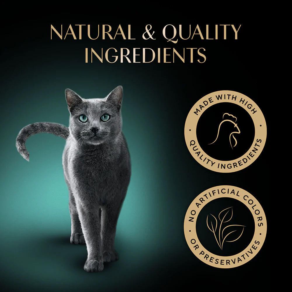 Sheba Soup With Chicken Wet Food For Cat - 40 gm x 4 pcs