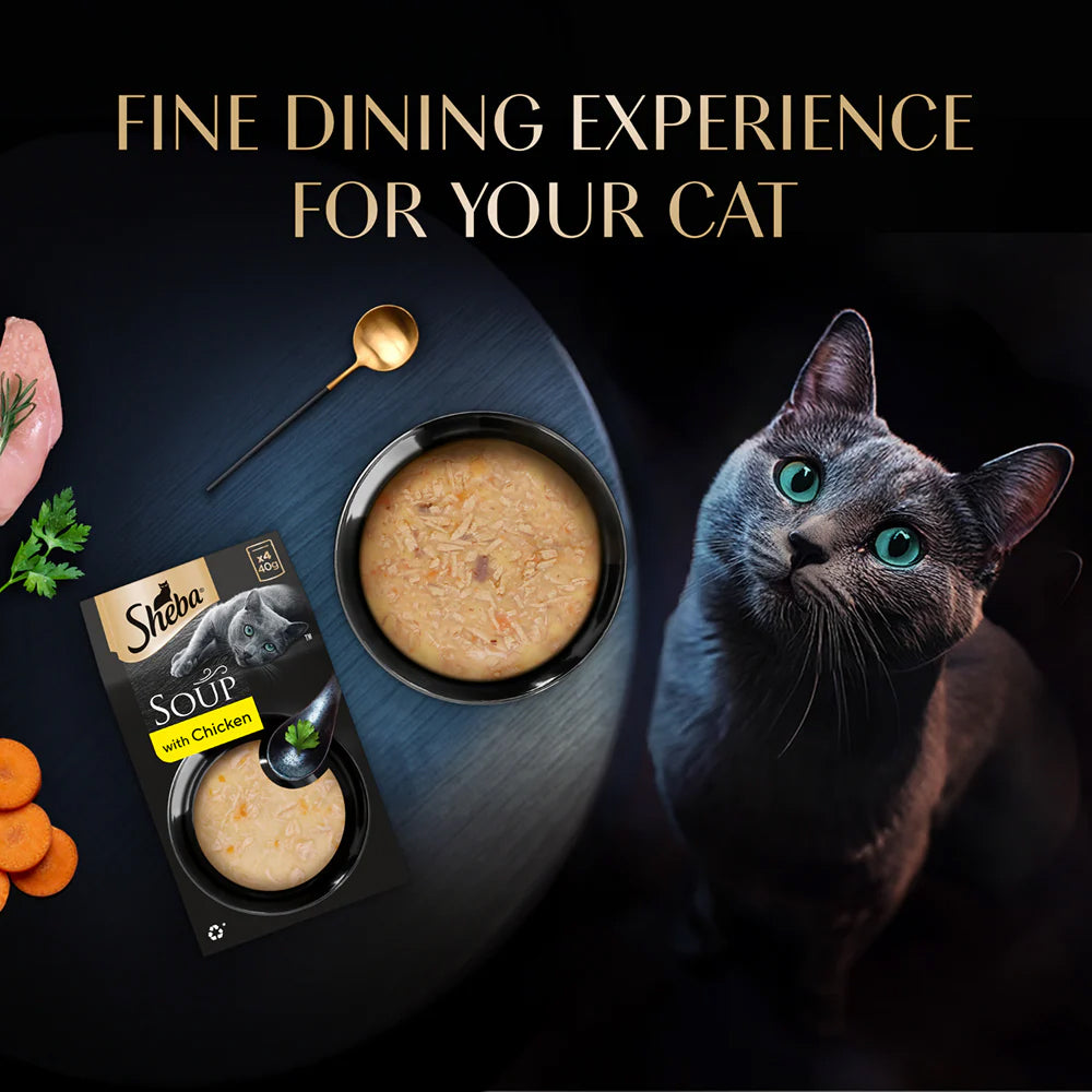 Sheba Soup With Chicken Wet Food For Cat - 40 gm x 4 pcs