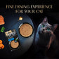 Sheba Soup With Tuna Wet Food For Cat - 40 gm x 4 pcs