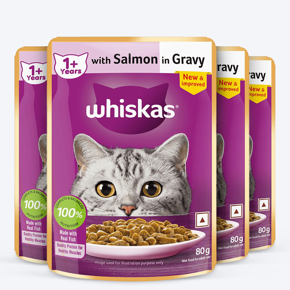 Whiskas Salmon in Gravy (1+ Years) Wet Food For Adult Cat - 80 gm Packs_09