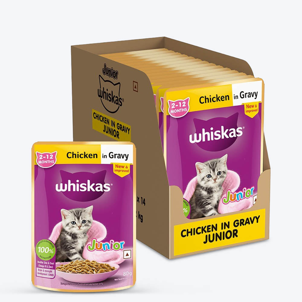 Whiskas Chicken in Gravy (2-12 Months) Wet Food For Junior Kitten - 80 gm Pack - Heads Up For Tails