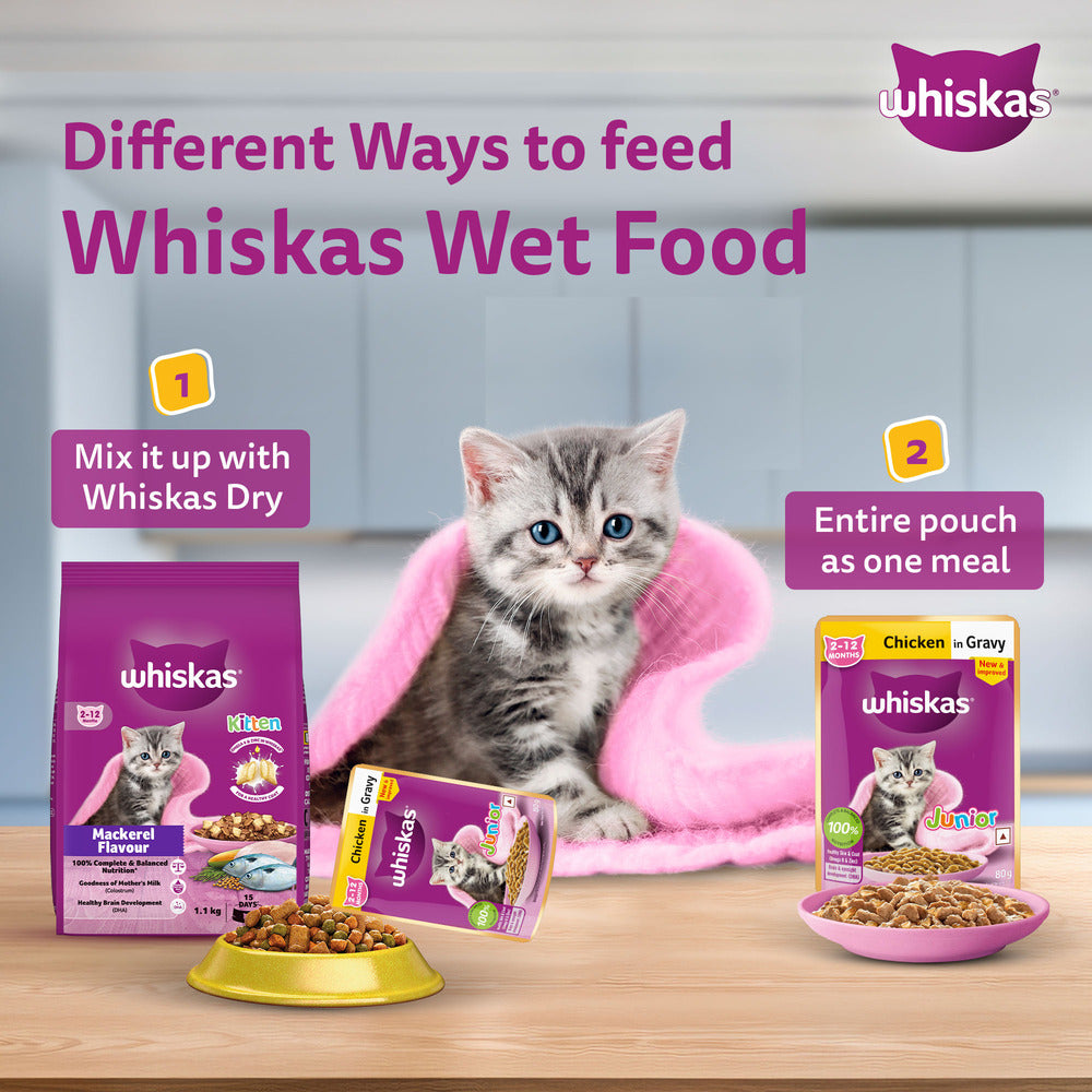 Whiskas Chicken in Gravy (2-12 Months) Wet Food For Junior Kitten - 80 gm Pack