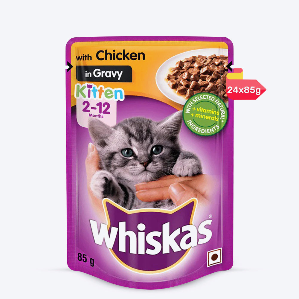 Whiskas free kitten pack sale