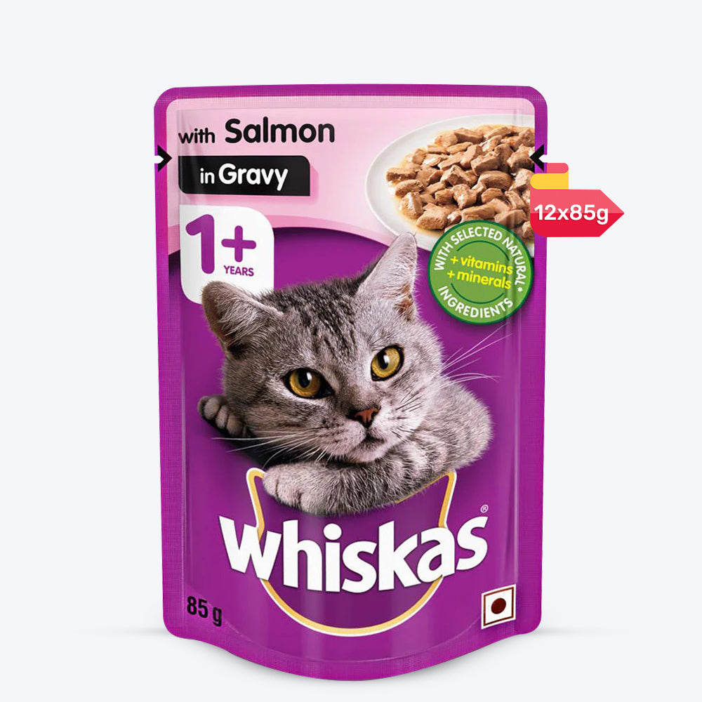 Whiskas Salmon in Gravy Adult Wet Cat Food - 85 g packs - Heads Up For Tails