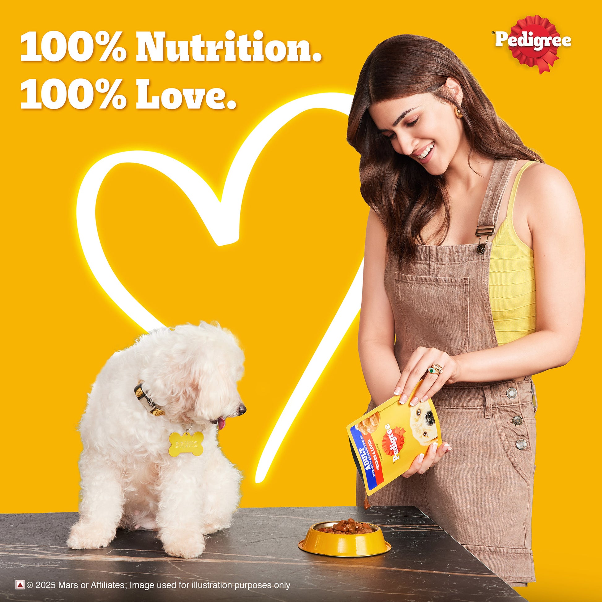 Pedigree Chicken & Liver Chunks In Gravy Adult Dog Wet Food - 130 g - Heads Up For Tails