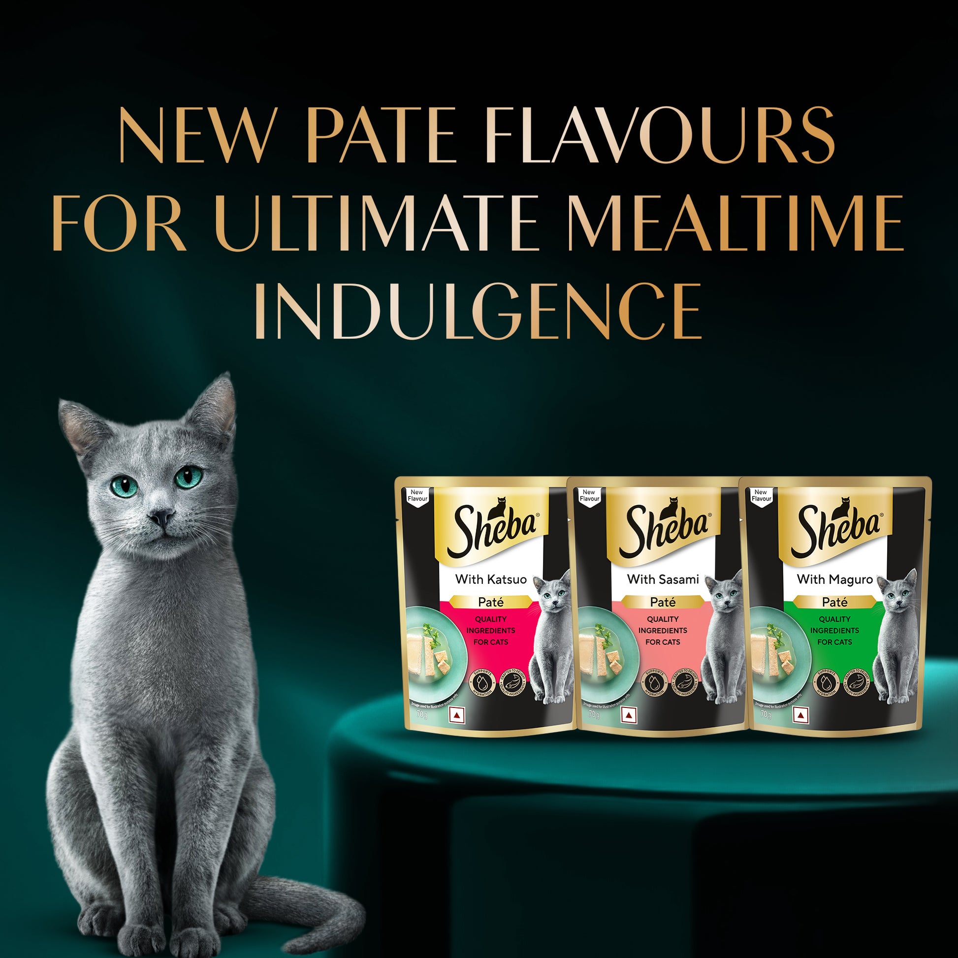 Sheba Katsuo Pate Wet Food For Adult Cat - 70 gm - Heads Up For Tails