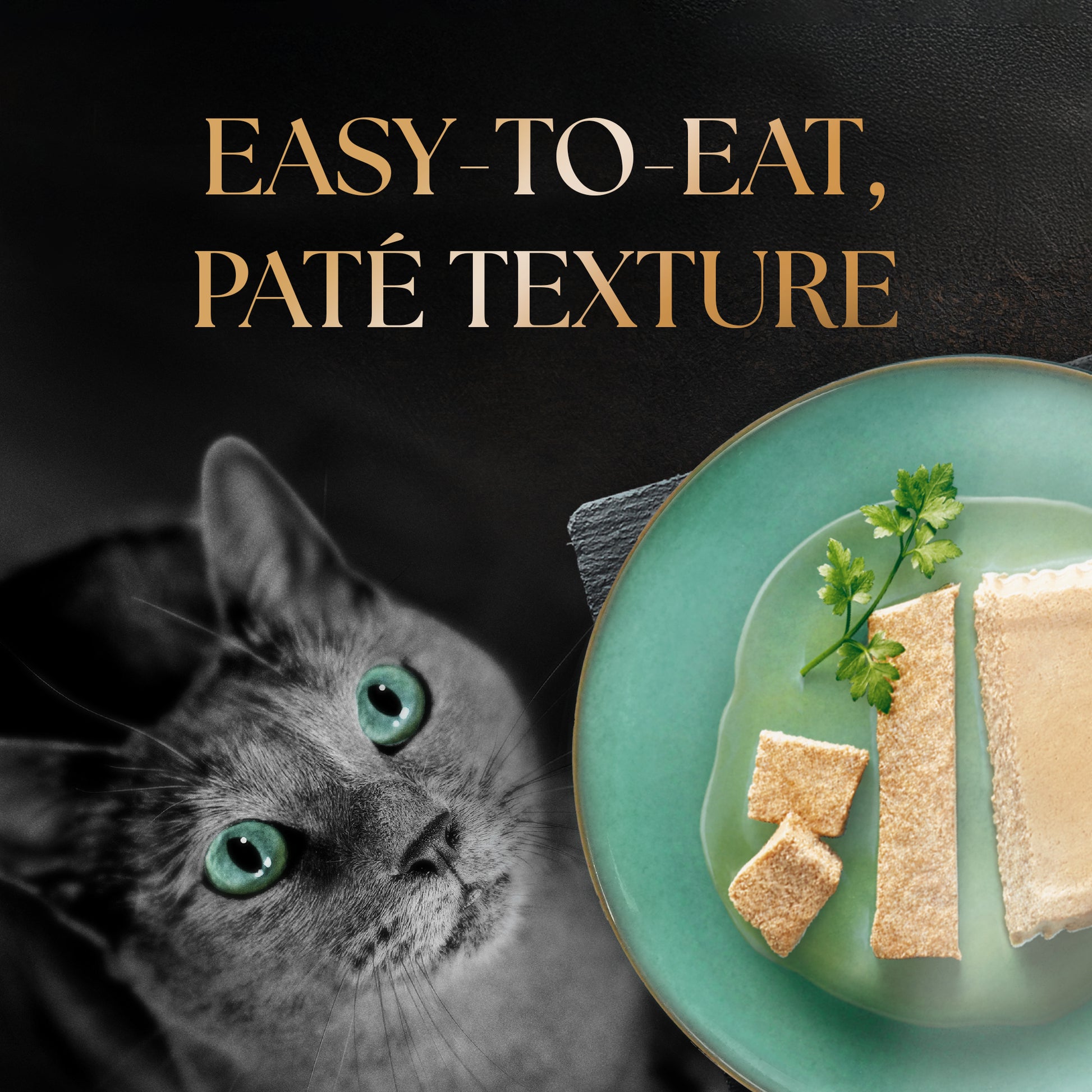 Sheba Katsuo Pate Wet Food For Adult Cat - 70 gm - Heads Up For Tails